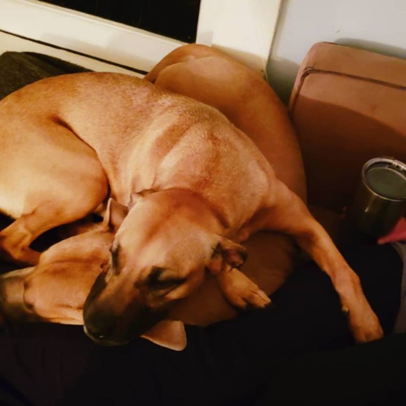 Meet your Posher, Erika - Picture 1 of 1